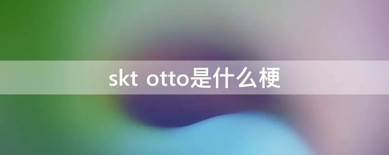 skt otto是什么梗