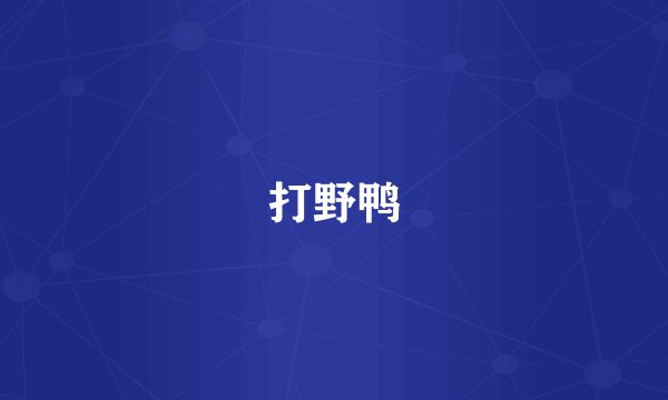 打野鸭