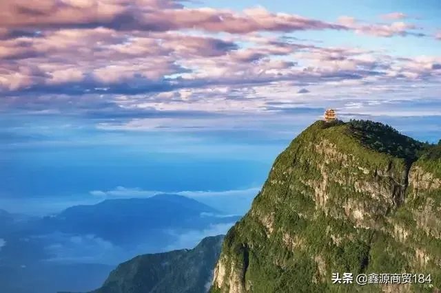 灿若夏花不负年华