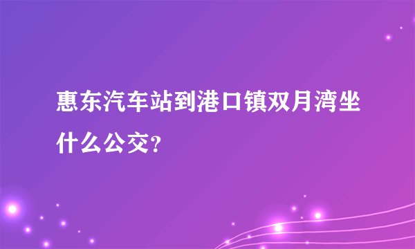 惠东汽车站到港口镇双月湾坐什么公交？