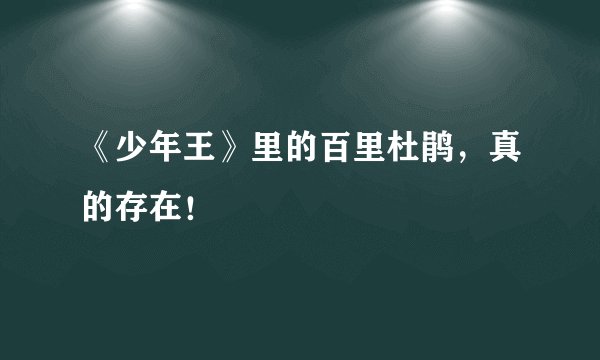 《少年王》里的百里杜鹃，真的存在！