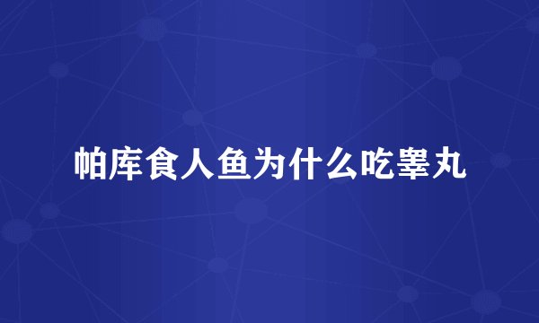 帕库食人鱼为什么吃睾丸