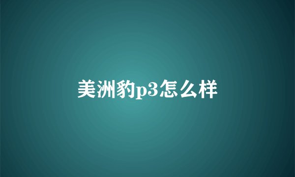美洲豹p3怎么样