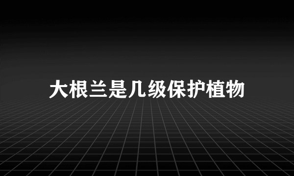 大根兰是几级保护植物