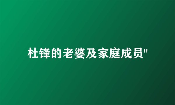杜锋的老婆及家庭成员