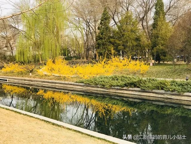 高中英语单词背书上的，还是背考纲的3500个单词啊？