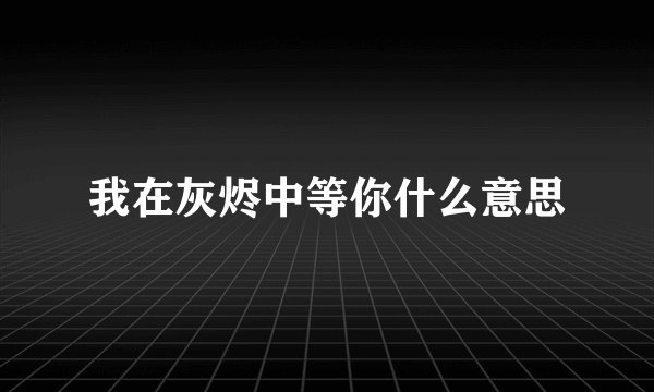 我在灰烬中等你什么意思