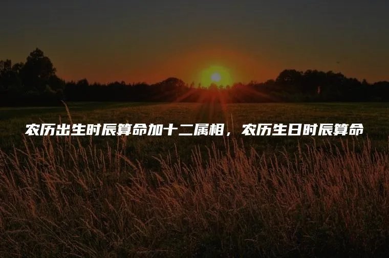 农历出生时辰算命加十二属相，农历生日时辰算命