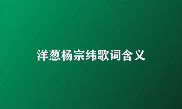 洋葱杨宗纬歌词含义