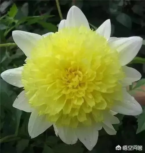 哪些因素会导致一个人的爱情启蒙特别晚?