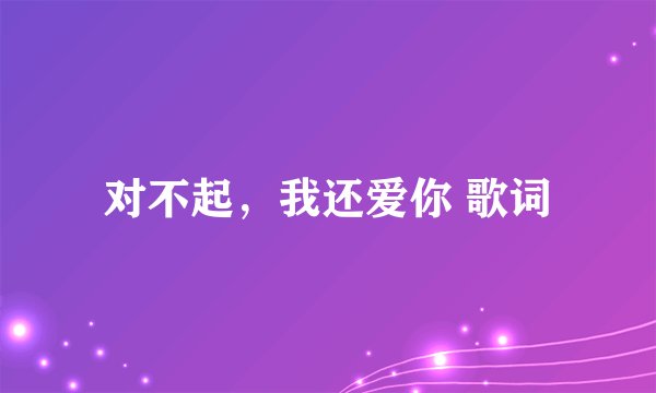 对不起,我还爱你 歌词