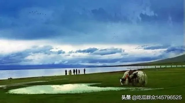 哪位专家做的股票分析比较可靠?