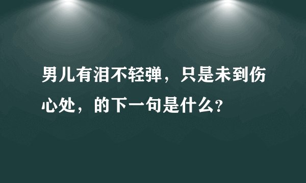 男儿有泪不轻弹，只是未到伤心处，的下一句是什么？