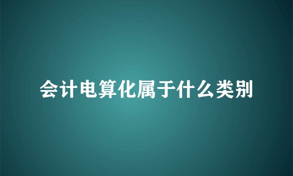 会计电算化属于什么类别