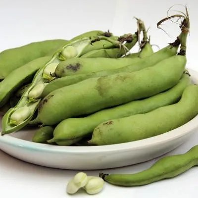 什么水果败火