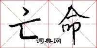 亡命