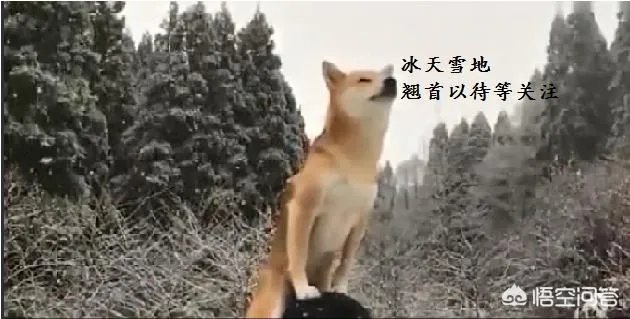 《魔兽世界》里的古尔丹究竟有怎样的结局?