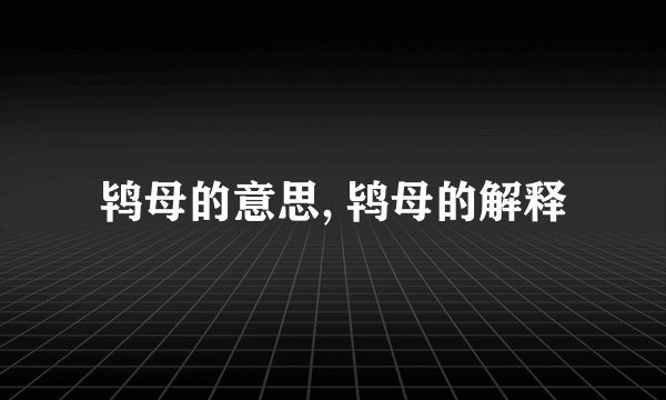 鸨母的意思, 鸨母的解释