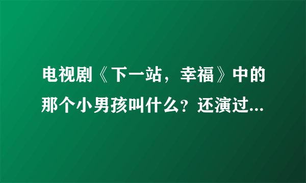 电视剧《下一站，幸福》中的那个小男孩叫什么？还演过什么电视啊？