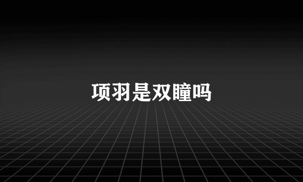项羽是双瞳吗