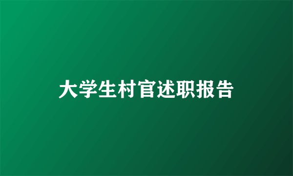大学生村官述职报告