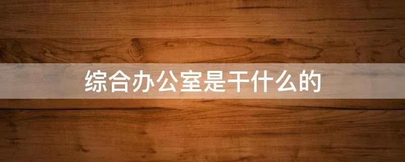 综合办公室是干什么的