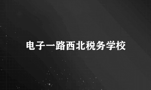 电子一路西北税务学校