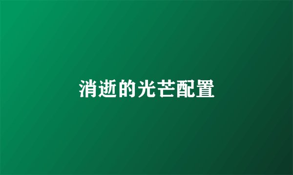 消逝的光芒配置
