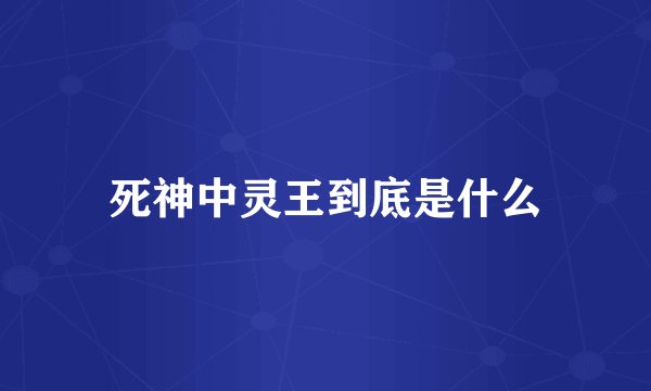 死神中灵王到底是什么