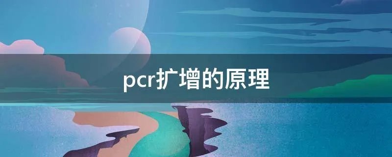 pcr扩增的原理