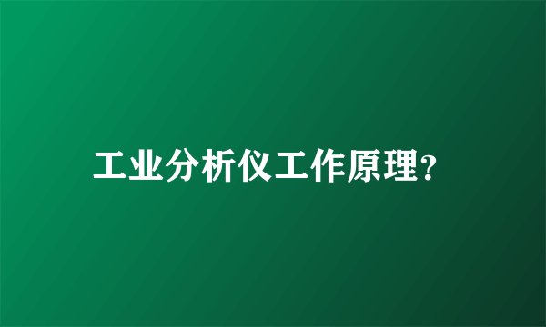 工业分析仪工作原理？