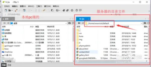 网站建设 教程