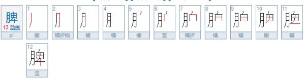 脾的拼音