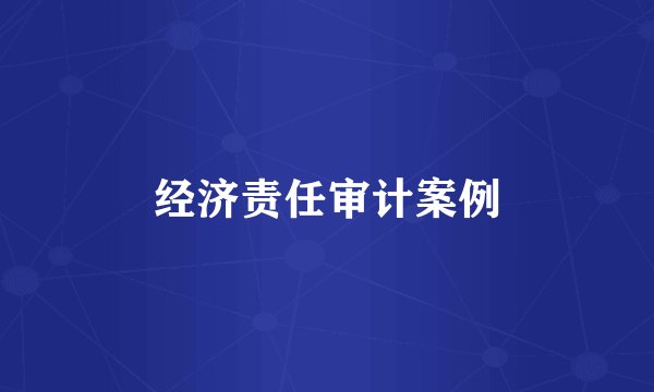 经济责任审计案例
