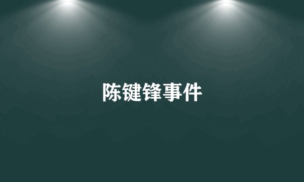 陈键锋事件
