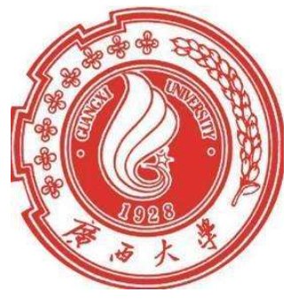广西有哪些211大学