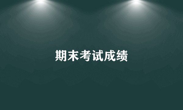 期末考试成绩