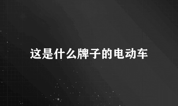 这是什么牌子的电动车