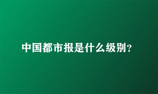 中国都市报是什么级别？