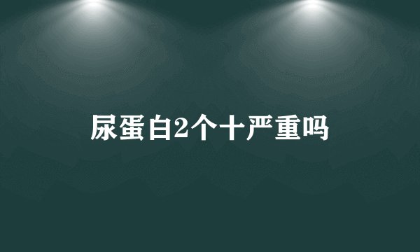 尿蛋白2个十严重吗