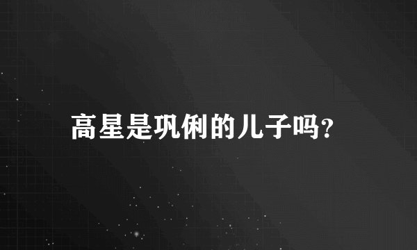 高星是巩俐的儿子吗？