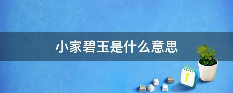 小家碧玉是什么意思