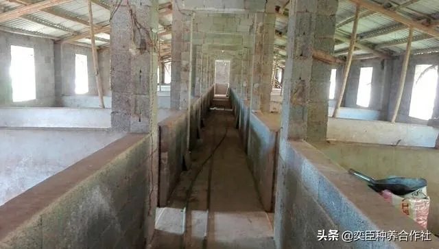 农村养殖有什么好的致富项目?