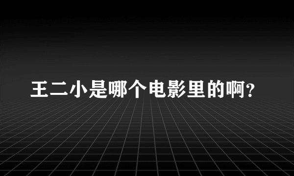 王二小是哪个电影里的啊?