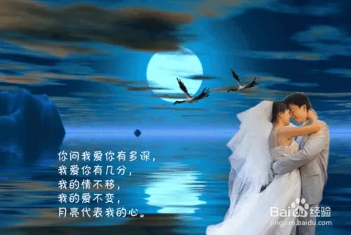 2019央视中秋晚会节目单,播出时间
