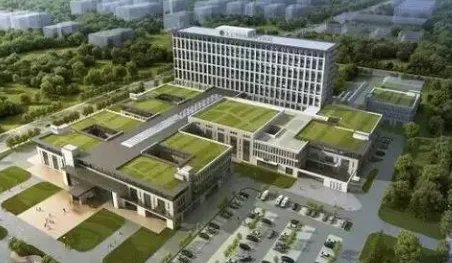 东直门中医院国际部和东直门中医院本部有什么区别？