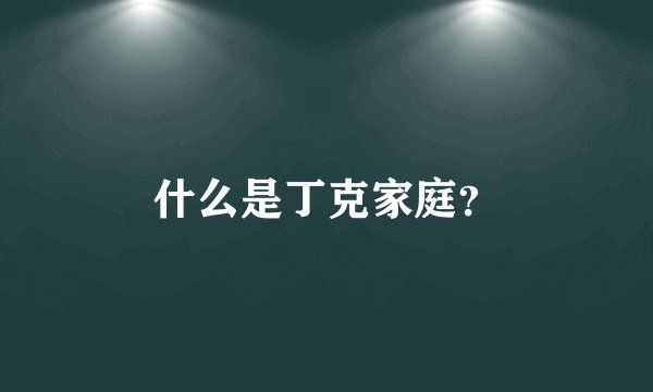 什么是丁克家庭？