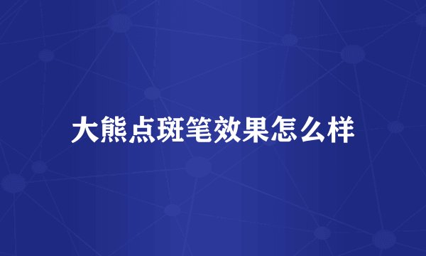 大熊点斑笔效果怎么样