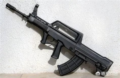 什么叫“制式武器”？