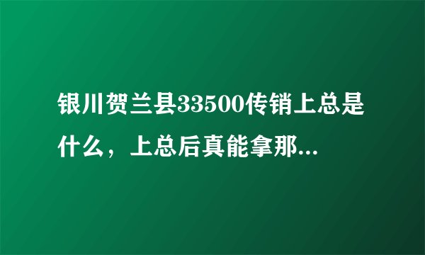 银川贺兰县33500传销上总是什么,上总后真能拿那么钱吗?